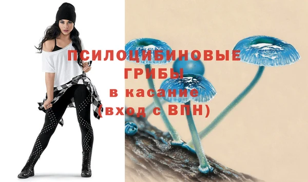 метадон Лабытнанги