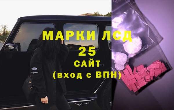 спайс Ладушкин