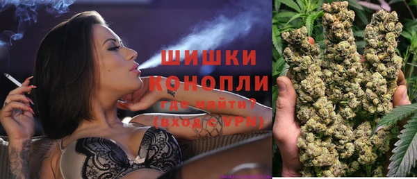 спайс Ладушкин