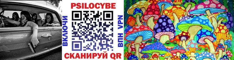 Псилоцибиновые грибы Magic Shrooms  наркота  kraken онион  Котельниково 